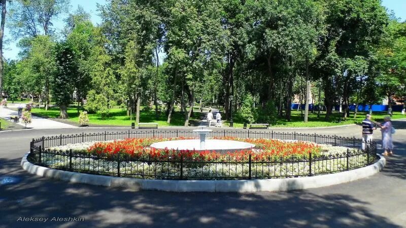 В Пензе высадили липы в сквере на улице Славы
