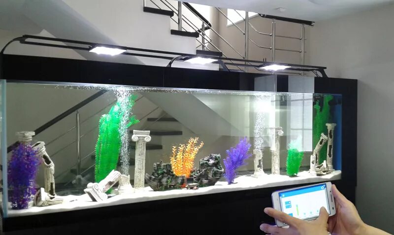 прожектор 20 ватт в травник аквариум. освещение аквариума epistar 100 литров. подсветка для аквариума. синяя подсветка для аквариума. прожектор 30 ватт на 160 литров аквариум.