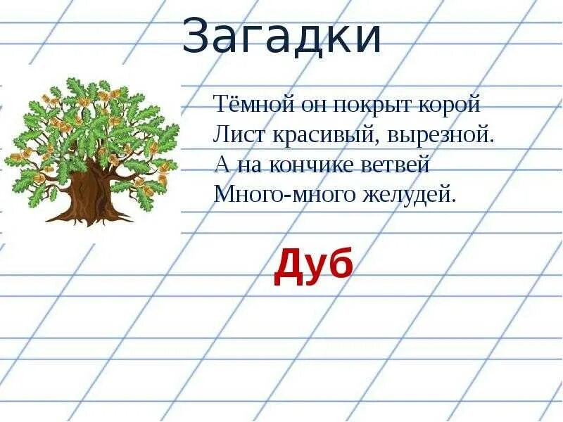 Загадки про букву д. Загадки про букву д. Пословицы на букву д. Пословицы на букву д. Пословицы на букву д.