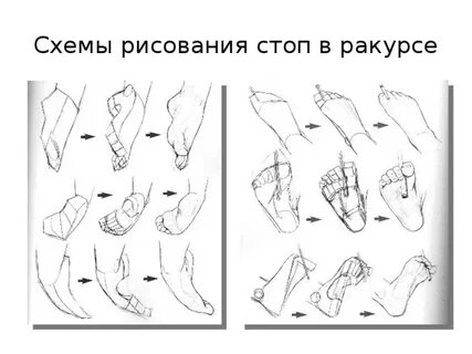 20 положений
