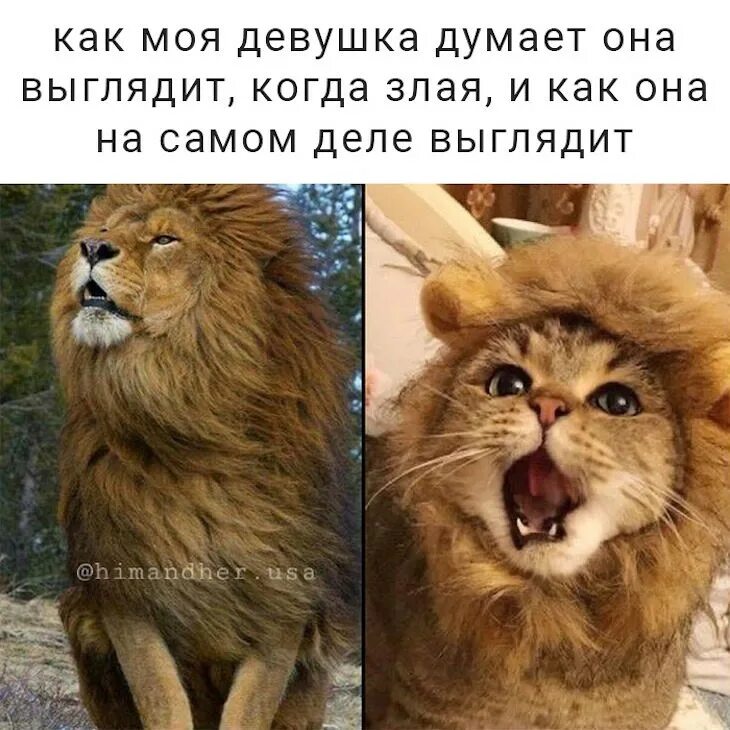 Как она выглядит покажи картинку
