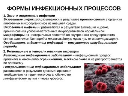 Инфекция и инфекционный процесс