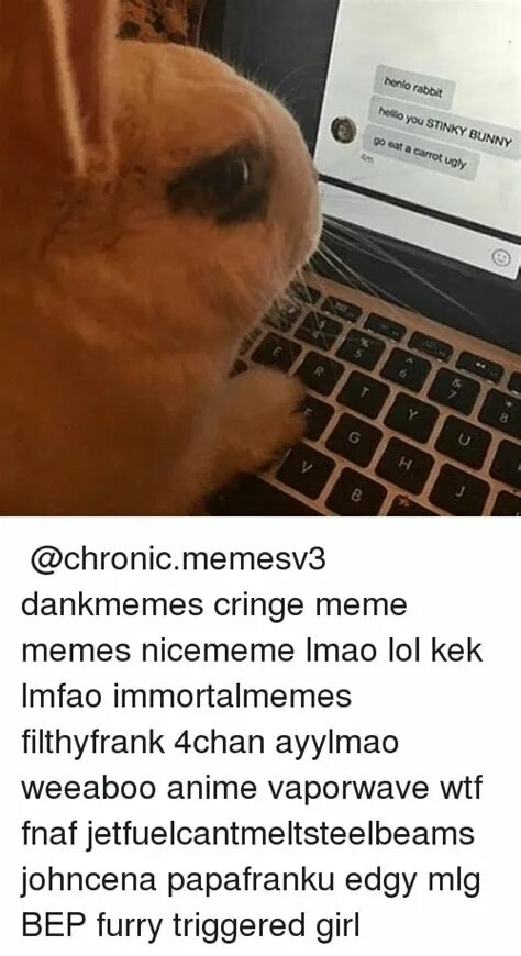 Rabbit memes. Мемы с кроликами. Triggered Bunny. Cyberbullying meme. Hello hello stinky.