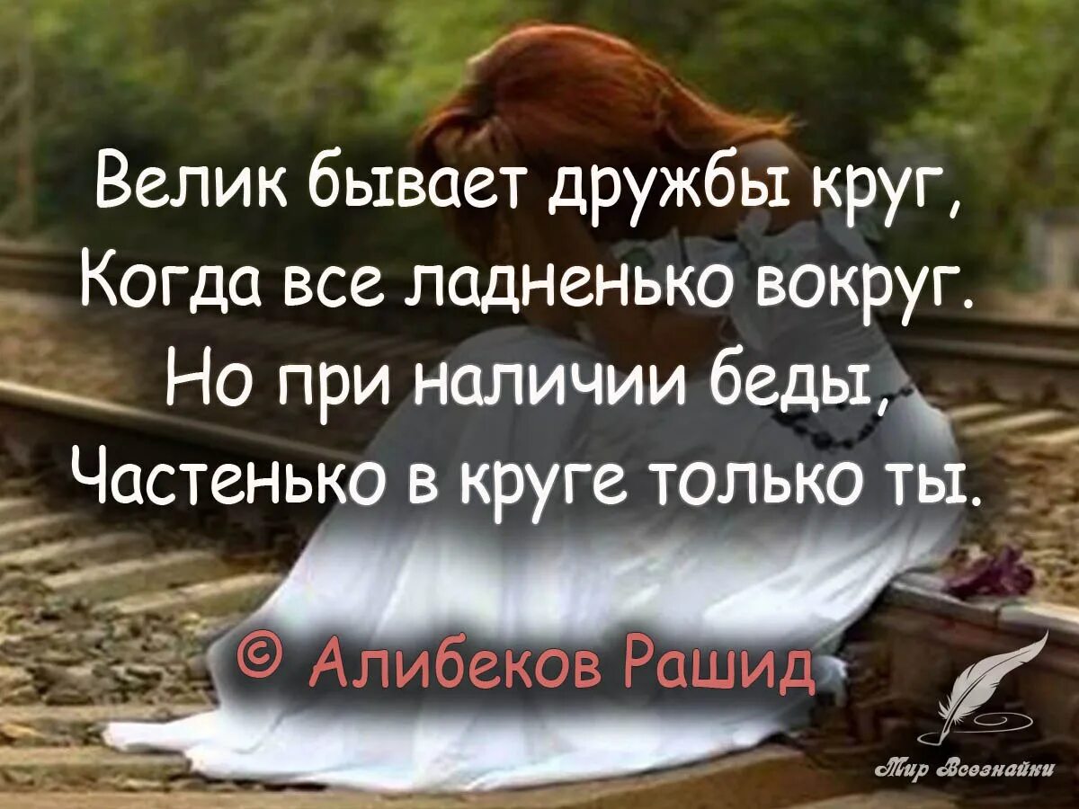 Мир дружба выражение