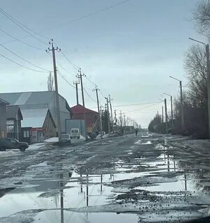Численность бузулука