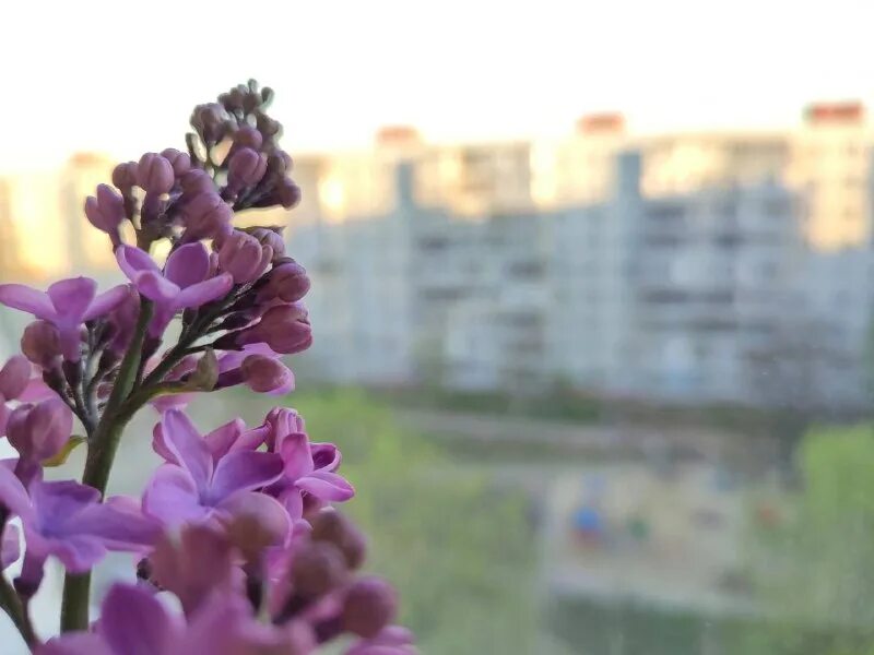 9 канал старый оскол новости ведущие. 9 канал старый оскол новости ведущие. Старый оскол телеграм. Старый оскол телеграм. Старый оскол телеграм.