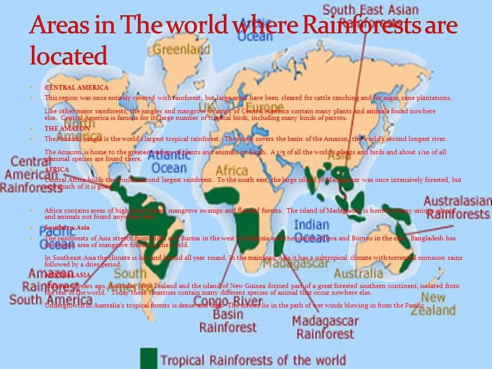 Where are Rainforests. Where the Rainforest is. Where are the Rain Forests?. The Amazon Rainforest where is.