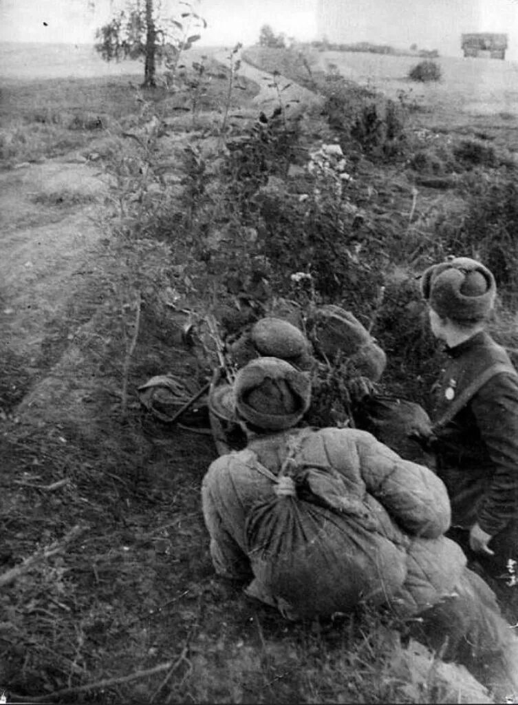 Партизанское движение 1941-1945. Партизанская засада 1942 год.