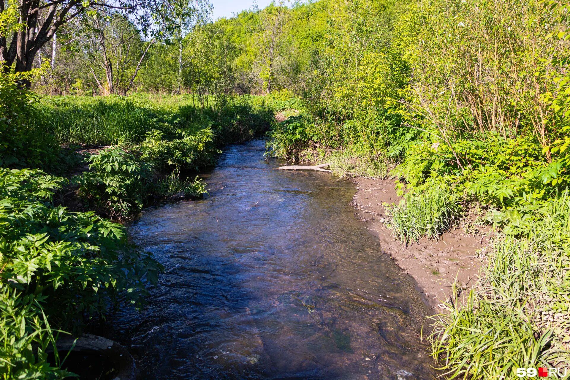 река тарбуга. малые реки края. малая речка алтайский край. река вильва. река убин.
