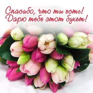 Спасибо дорогая подруга
