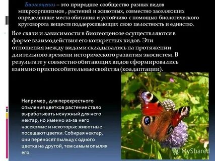 Самые разные и зависят