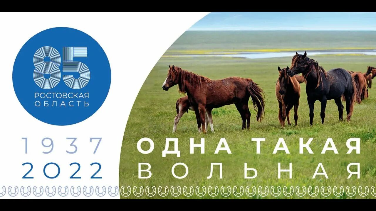 День ростовской области 2023 году. 85 Лет Ростовской области. 85 Лет Ростовской области логотип. 85 Лет Ростовской области банер. Ростовская область одна такая 85 лет.