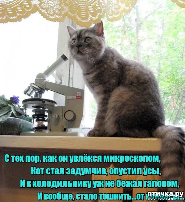 Нет не плохо знаю