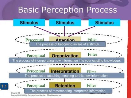 Perception перевод