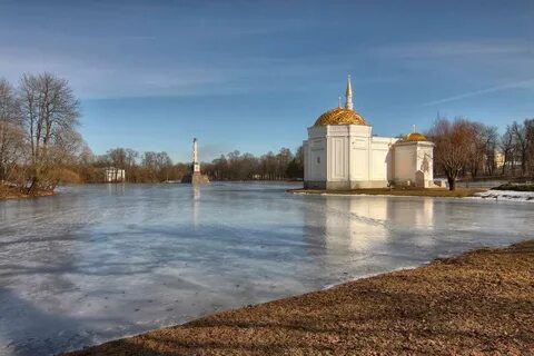 Прогноз в пушкине