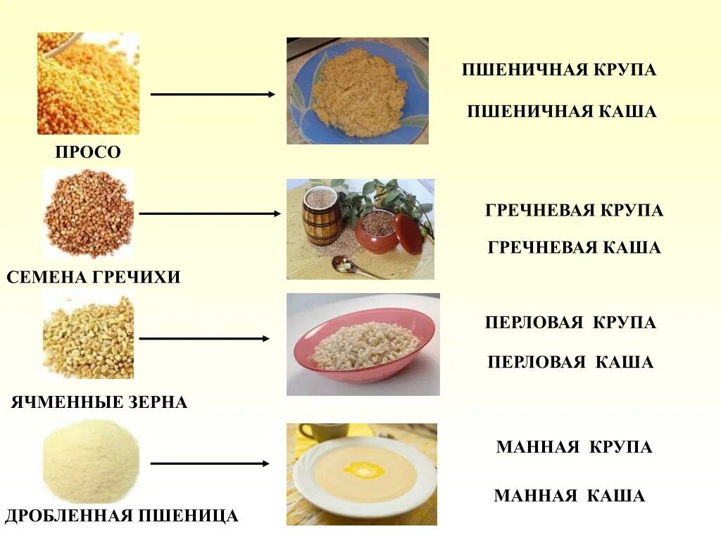 Пшено и пшеничная крупа. Пшеничная и пшенная разница. Пшеничная и пшенная крупа разница. Крупы для приготовления каш. Перечислите этапы производства круп