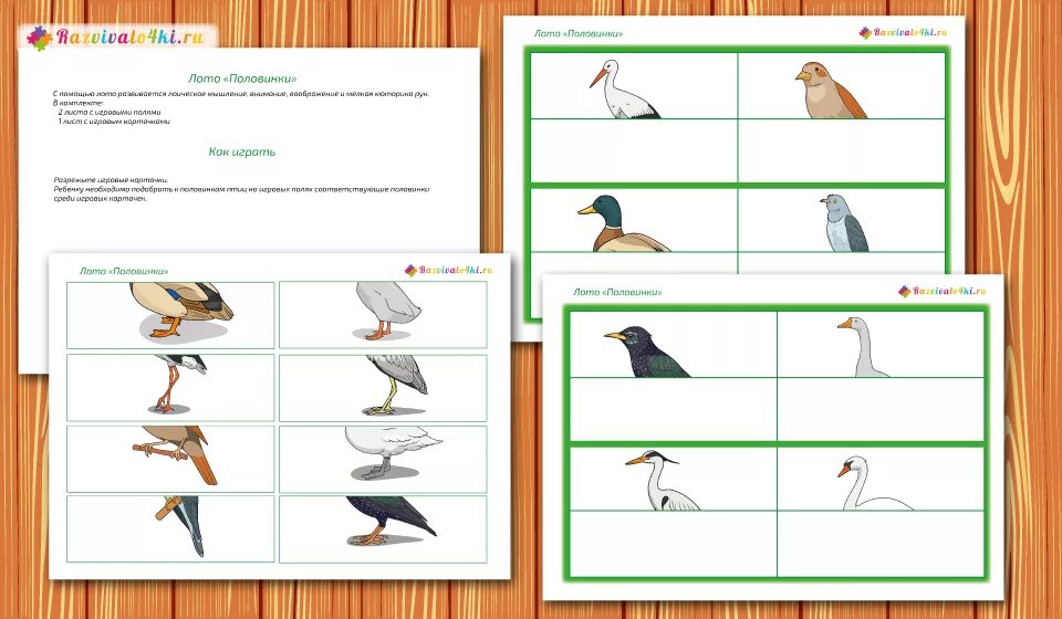 Тематический комплект перелетные птицы. Перелетные птицы для дошкольников. Лото перелетные птицы. Карточки по теме перелётные птицы. Тем план перелетные