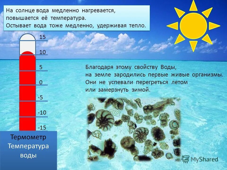 Температура воды в связи