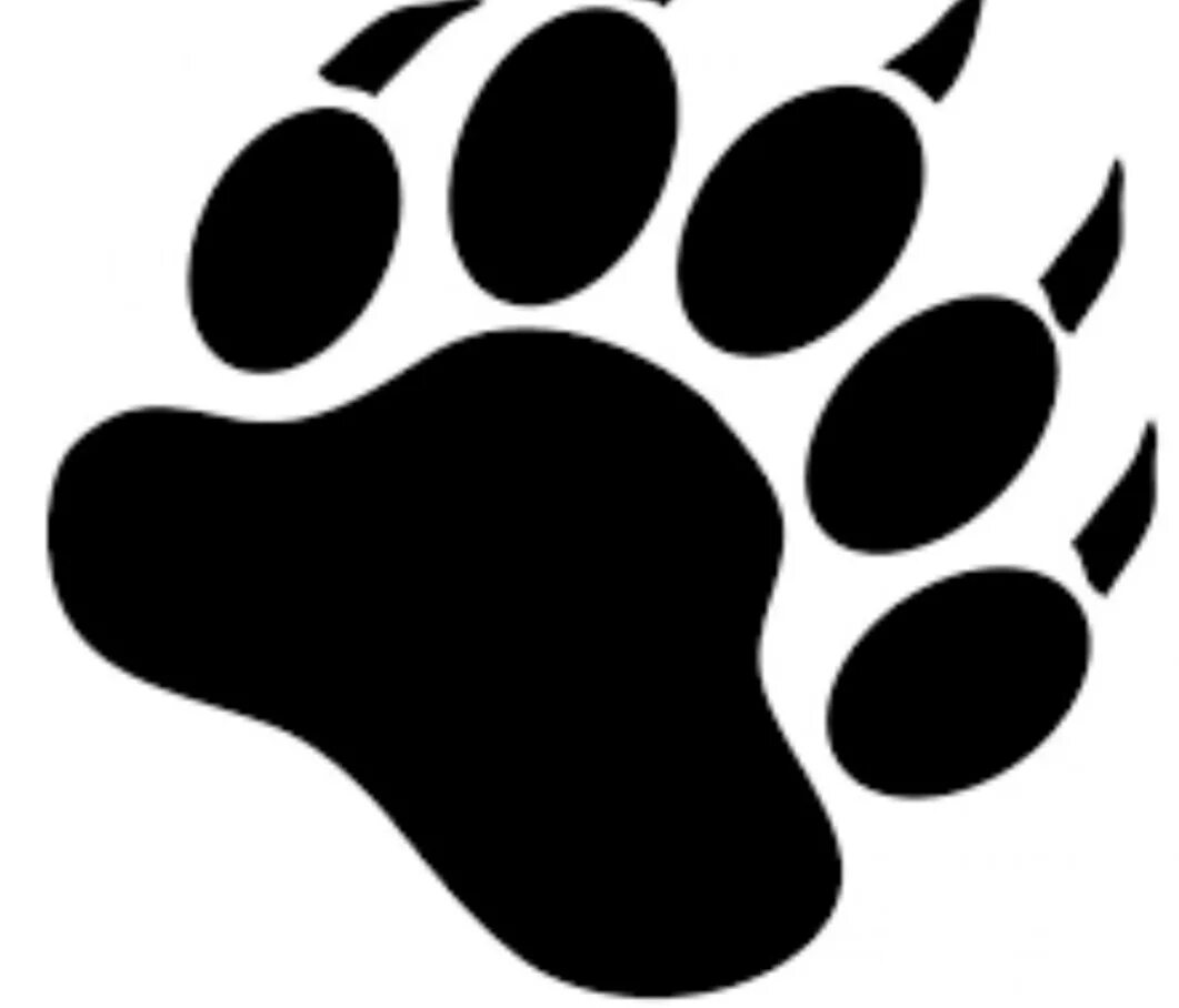 Bear track