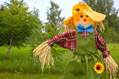 Добрый день сказало чучело