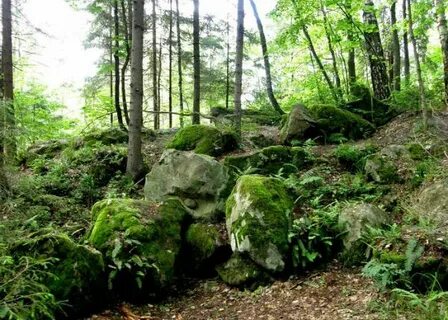 Калужская городище