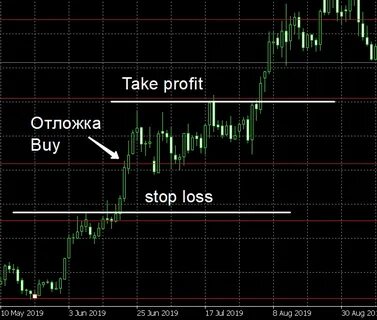 Форекс без стратегии