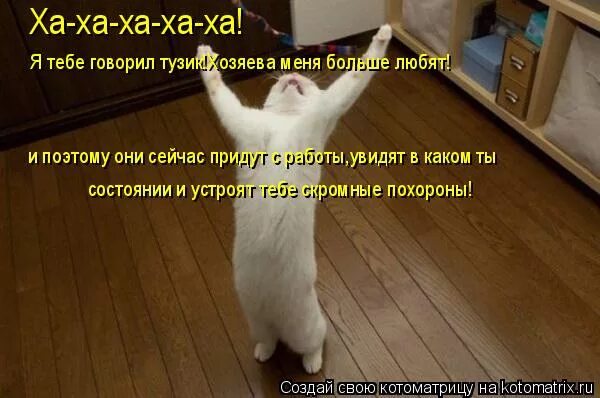 наконец то достойный противник наша битва. смешные фразы кота матроскина. всегда говори да постер. наконец то говори.