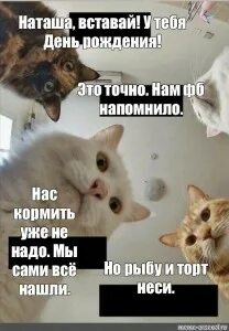 Ошибки наташи