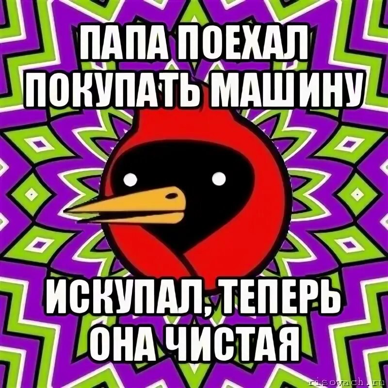 Омская птица. Омская птица мемы. Мемы про Омскую птицу комиксы. Шутки Омской птицы. Папа поехал работу