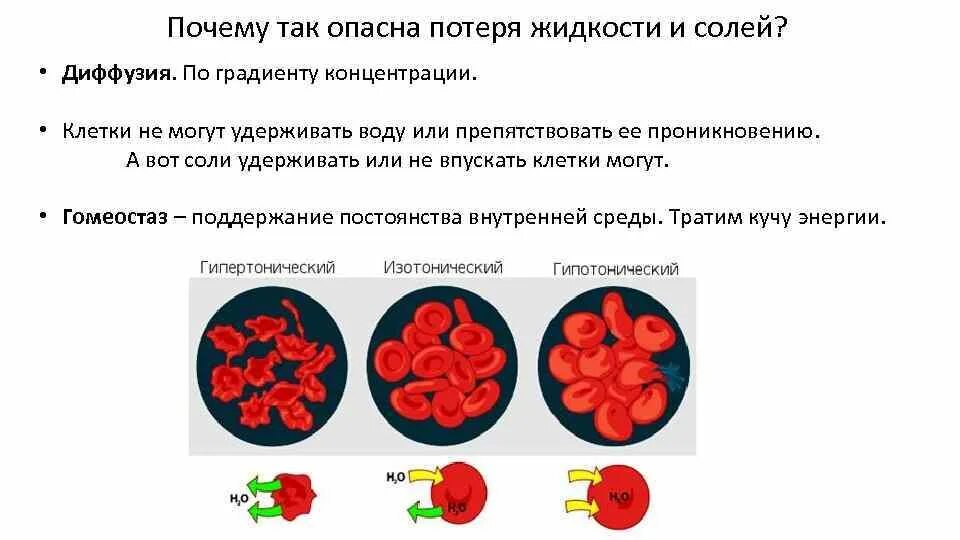 Почему опасны потеря жидкости и солей