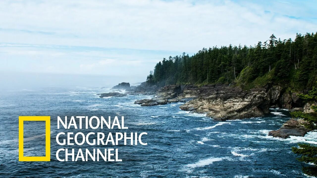 Nation geography. Канал national geographic. national geographic channel телеканал. логотипы тв канала national geographic.