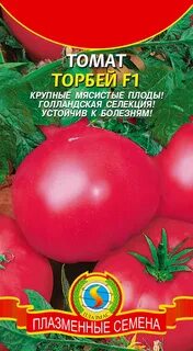 Семена голландской селекции
