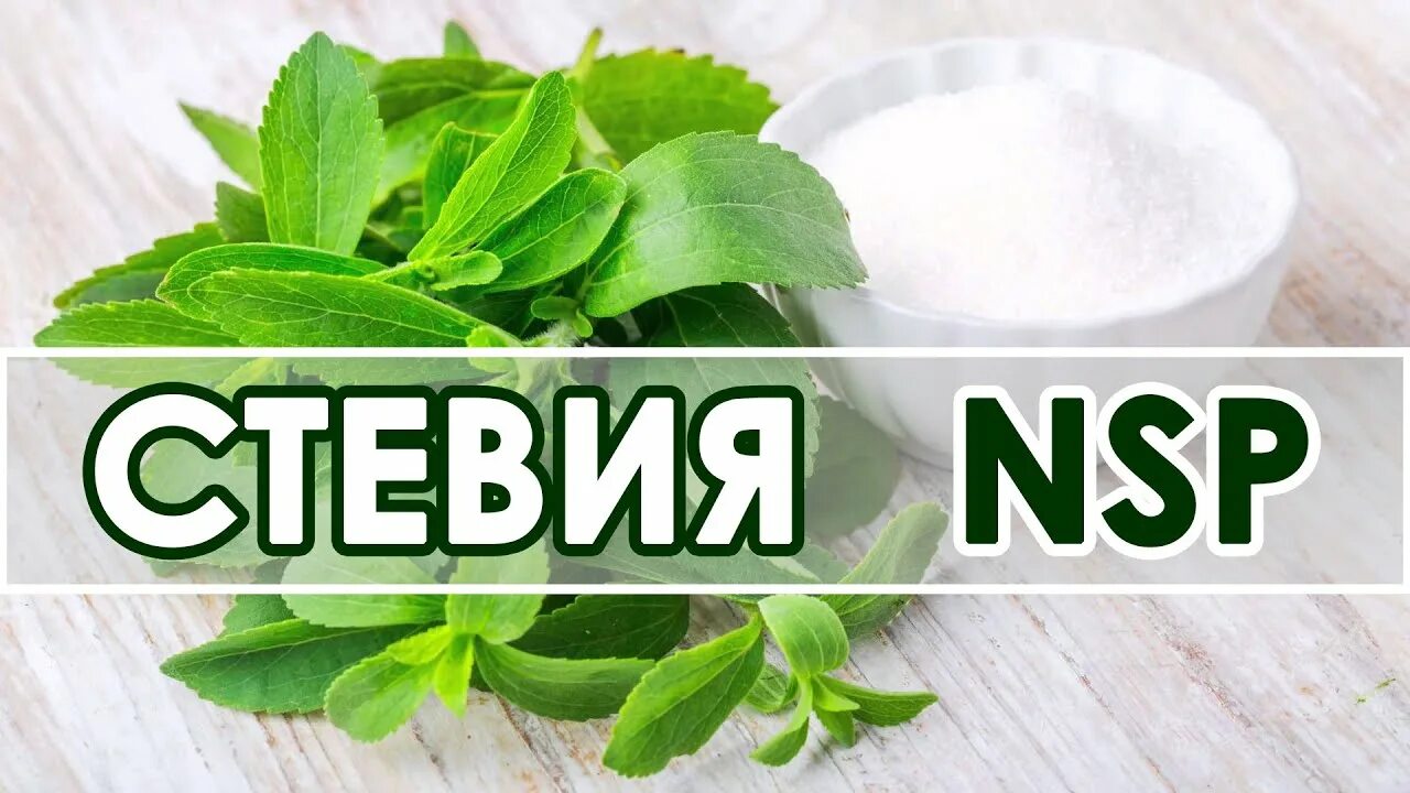 Стевия НСП. Стевия Фарминдустрия. Стевия от NSP. Стевия растение.