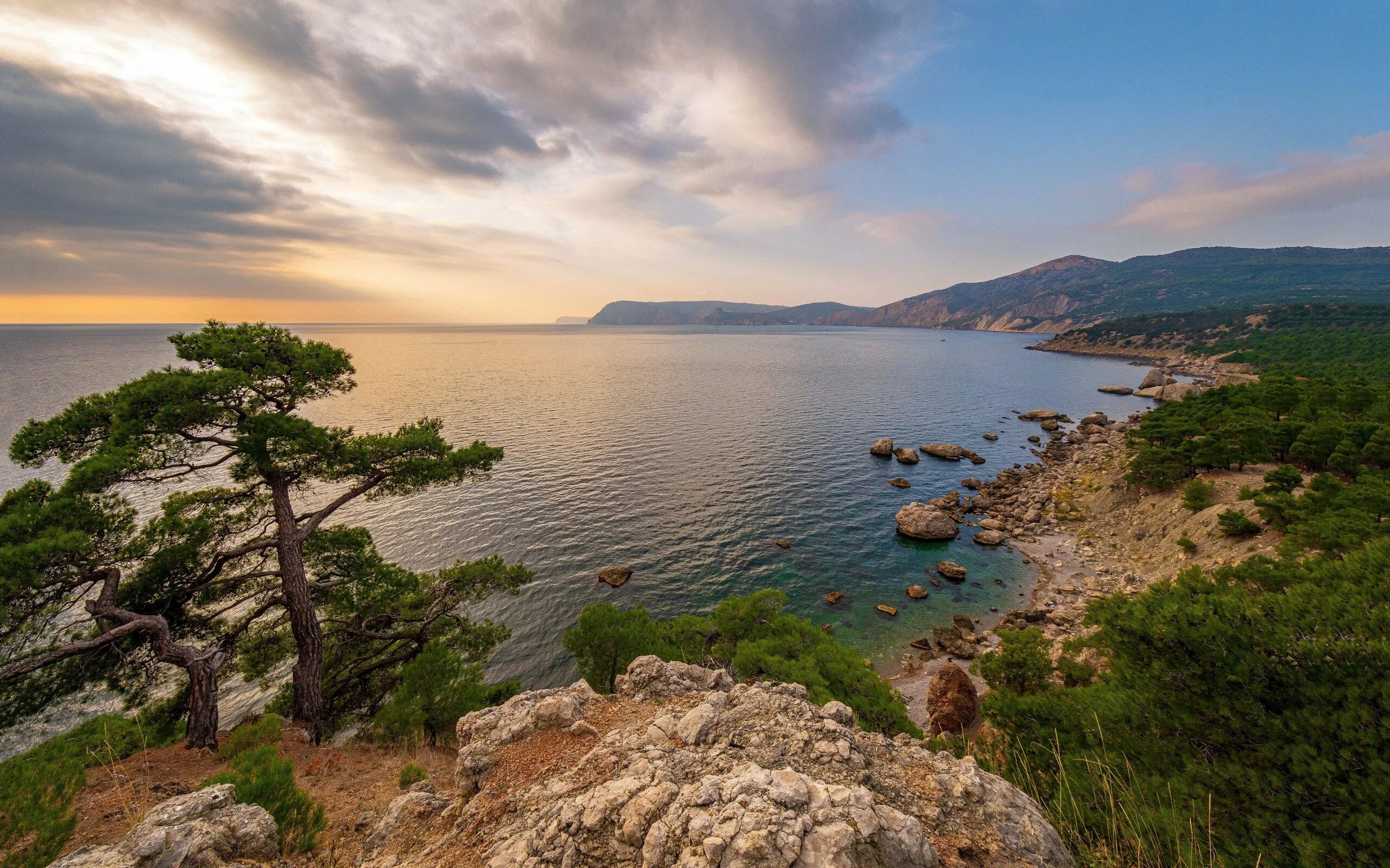 Горы на берегу черного моря. Аязьма крым. урочище аязьма. крым сосны горы море песчаное. родник урочище аязьма.