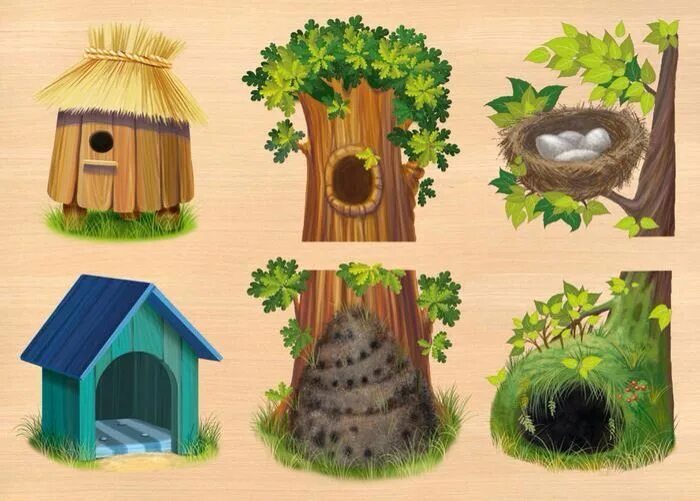 Домики разных животных. Домики животных для детей. Жилище домашних животных. Домик для белки. Кормушка для белок.