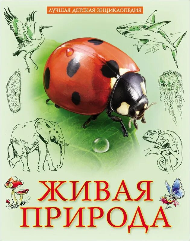 Энциклопедия «живая природа». Энциклопедия «живая природа». Книга окружающий мир. Живая природа и человек литература. Детская энциклопедия живой природы.