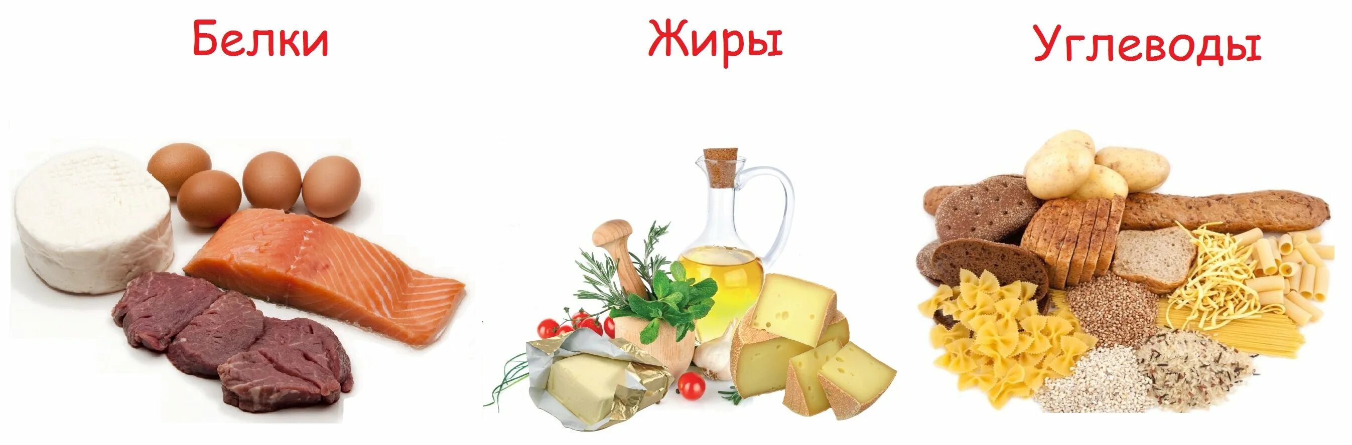 Являются белки жиры и углеводы. Рацион питания белки жиры углеводы. белки и углеводы. продукты. продукты питания.