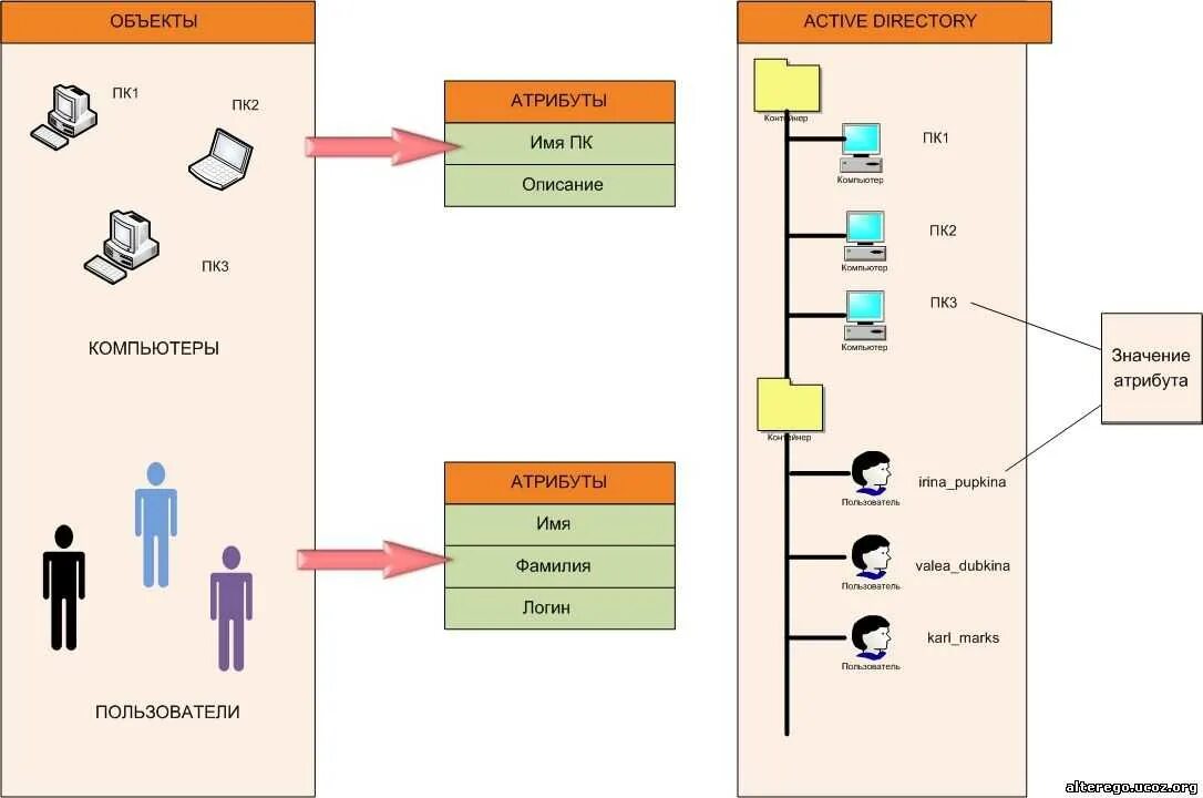 Схема домена Active Directory. Службы Active Directory (ad). Структура ad Active Directory. Иерархическая структура Active Directory.