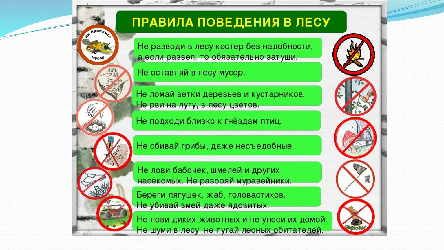 Что нельзя делать на природе. Правило поведения в лесу для детей 5 класс. Правила безопасности поведения в лесу. Памятка о правилах поведения в лесу 4 класс. Правила поведения в лесу для детей памятка.