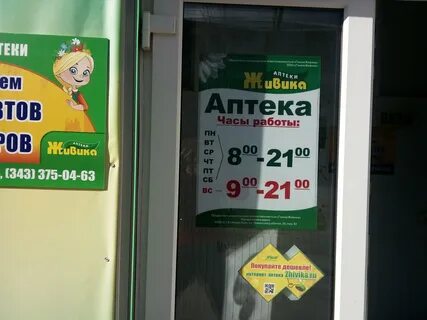Живика график работы