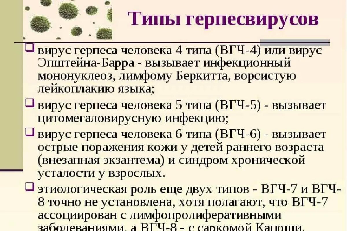 Вирус герпеса 6 симптомы. Эпштейна-Барра вирусная инфекция что это. Типы герпетической инфекции. Human herpes