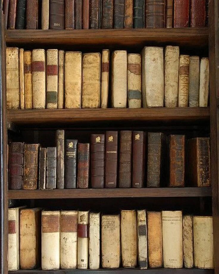 На книжной полке стоят книги