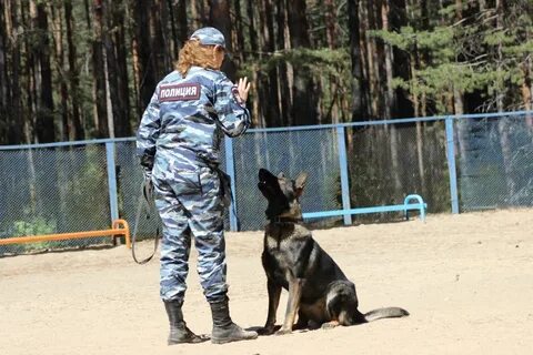 Где обучиться на кинолога