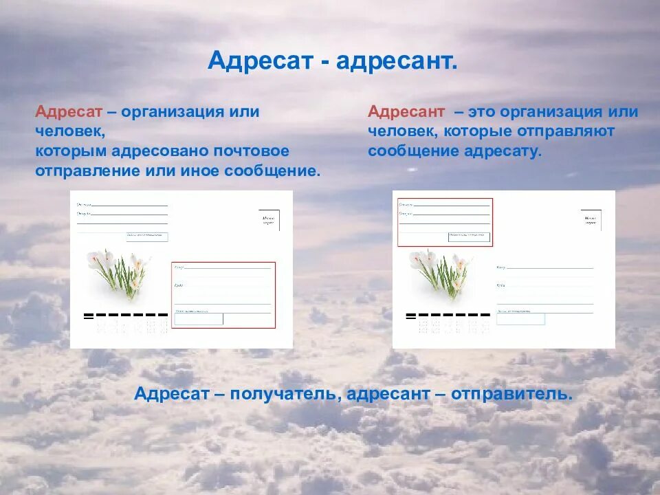 Адресант отправлял открытки друзьям из каждого. Адресат и адресант. Адресат и адресант паронимы. Письмо адресат адресант. Адресат это получатель.