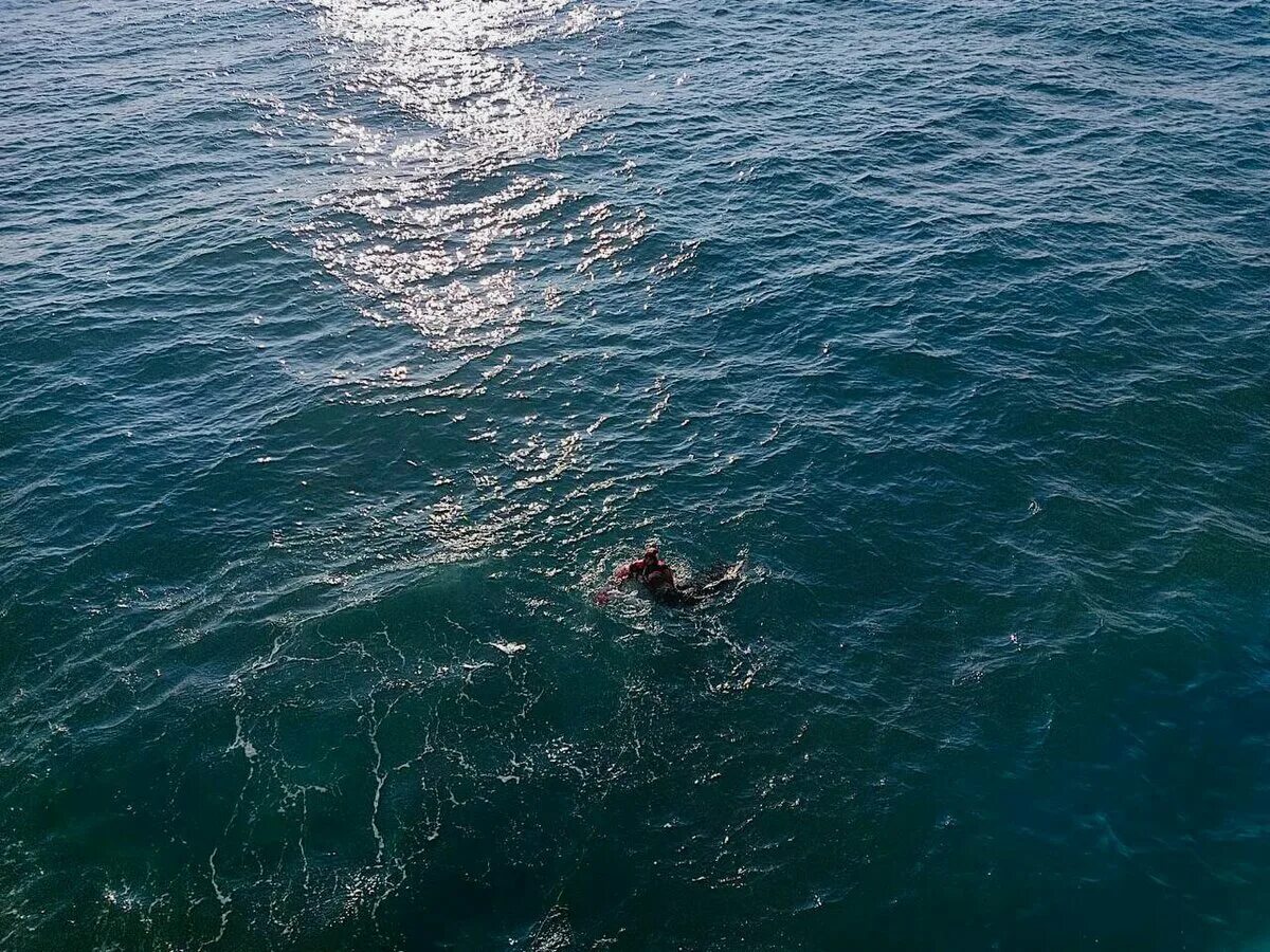 Смотрит коршунов в море тонет. Тонет в море. Тонущий человек. Человек тонет в море. Каспийское море Актау.