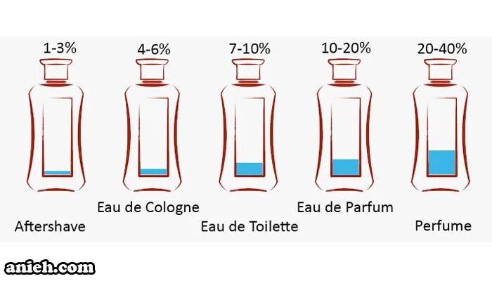 Концентрация туалетной и парфюмированной воды. Стойкость туалетной воды. Туалетная вода и духи разница. Разница парфюмерной и туалетной воды и духов. Парфюмированная вода или духи