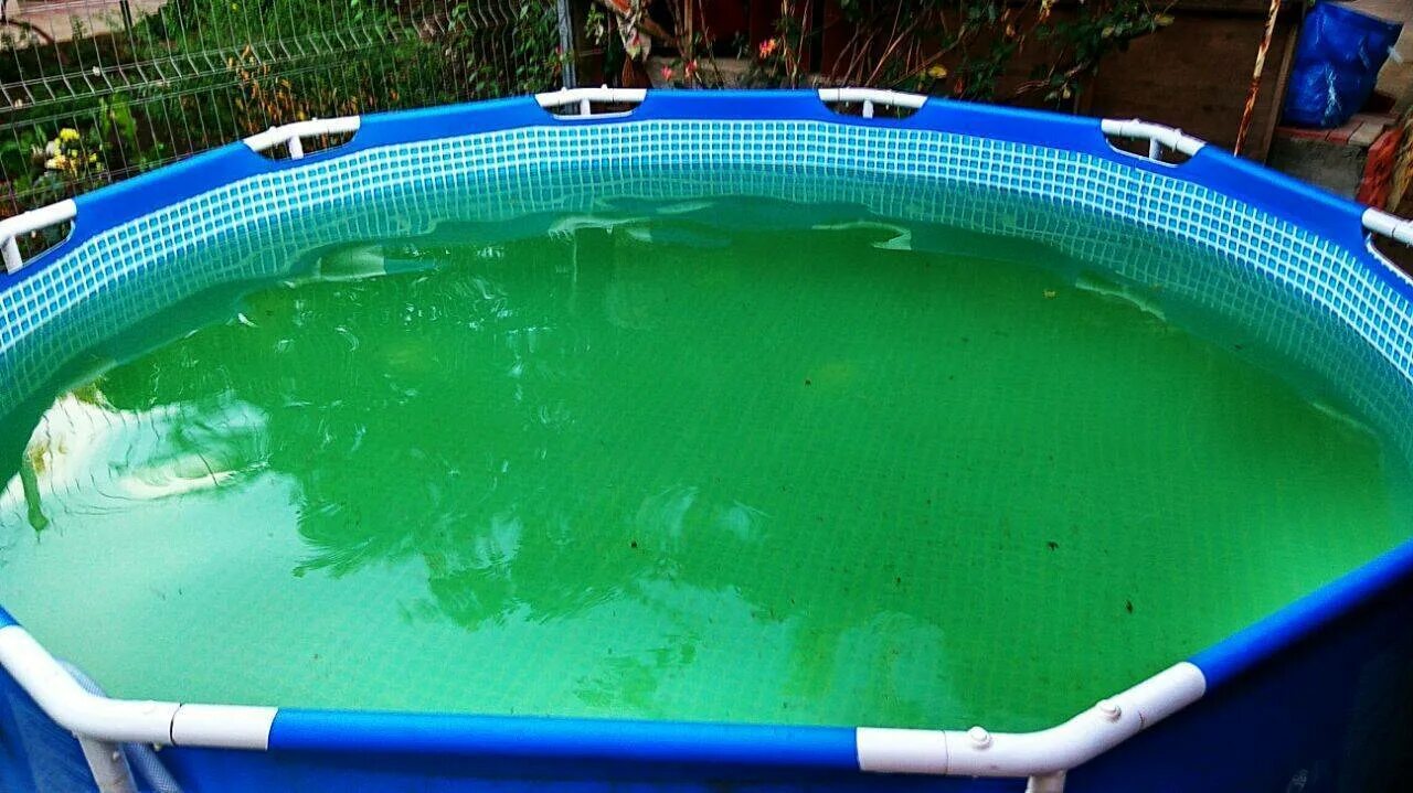 Чем залить бассейн чтобы не цвела вода. Зеленая вода в бассейне. зеленый бассейн. чистая вода в бассейне. вода в каркасном бассейне.