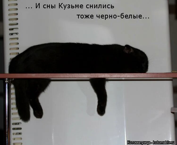 Чотесли человек снится. Снится одно и тоже место. Человек который видится во снах. Если человек снится. Снится одно и тоже место.