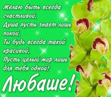 Прикольные картинки люба