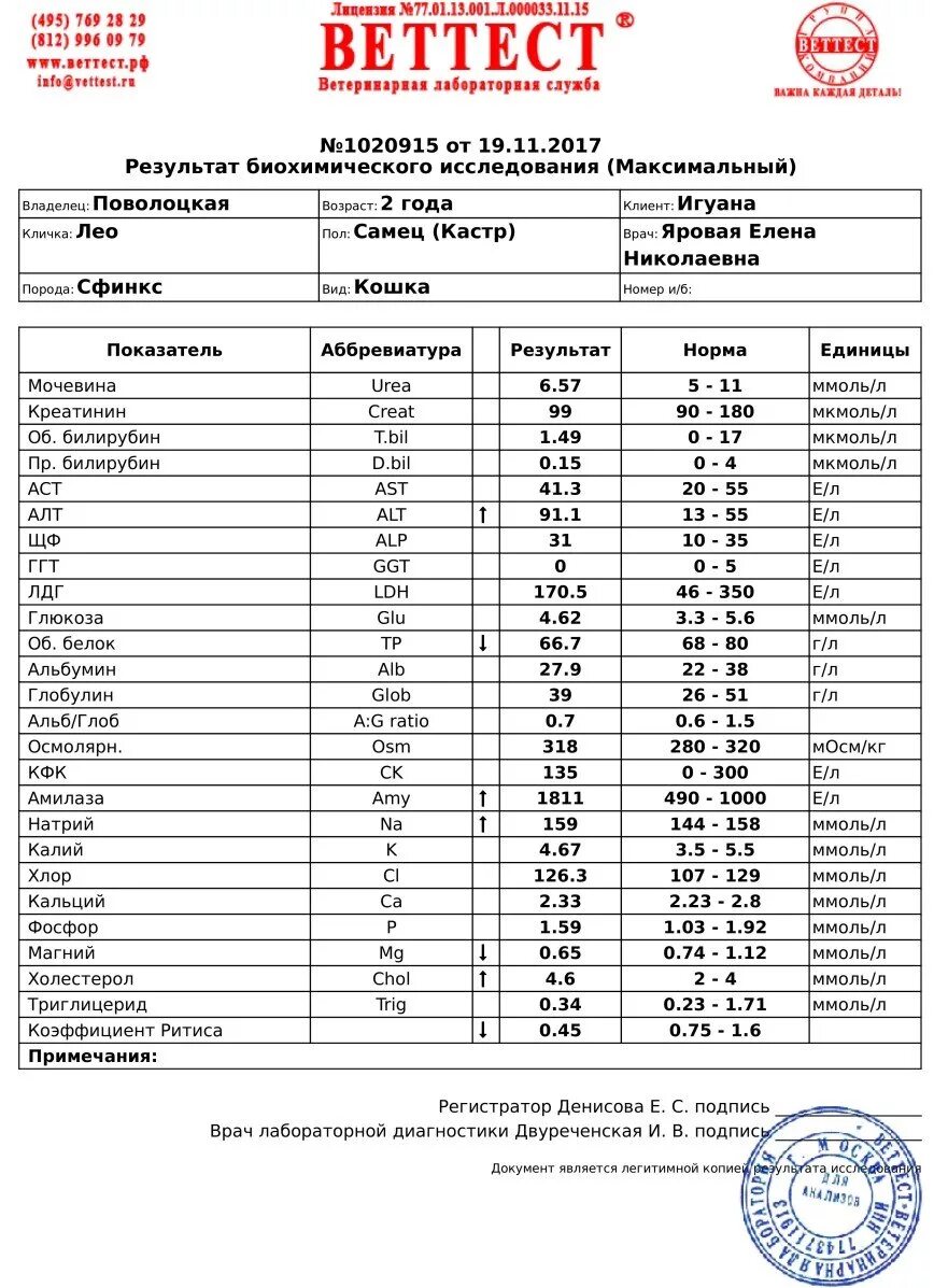 Алт АСТ норма ммоль/л. Алт в ммоль/л норма у детей. Алт норма ммоль/л. Алт АСТ норма ммоль.